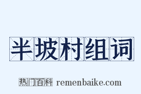 半坡村组词是什么意思的图片